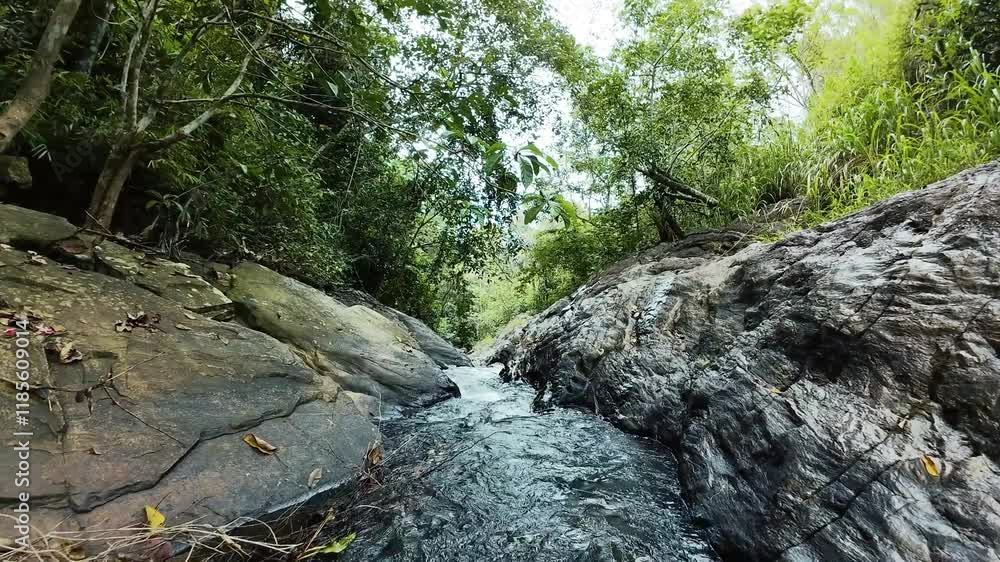 Sri Lanka's serene water stream surrounded by tropical greenery, captured in stunning 4K FPV drone footage. Sri Lanka's serene water stream surrounded by tropical greenery, captured in stunning 4K FPV drone footage.