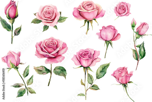 pattern with pink roses