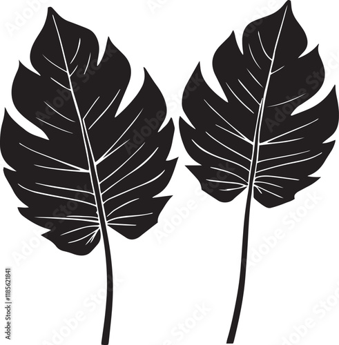 Silhouette of a taro leaf black vector art illustration.