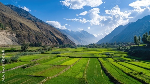 Lush green crop fields in a scenic valley surrounded by mountains under a vibrant blue sky with dramatic clouds