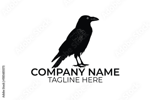 crow on a white background