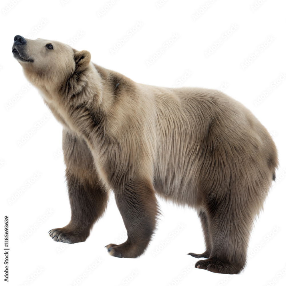 Fototapeta premium Arctodus AI Generated Image