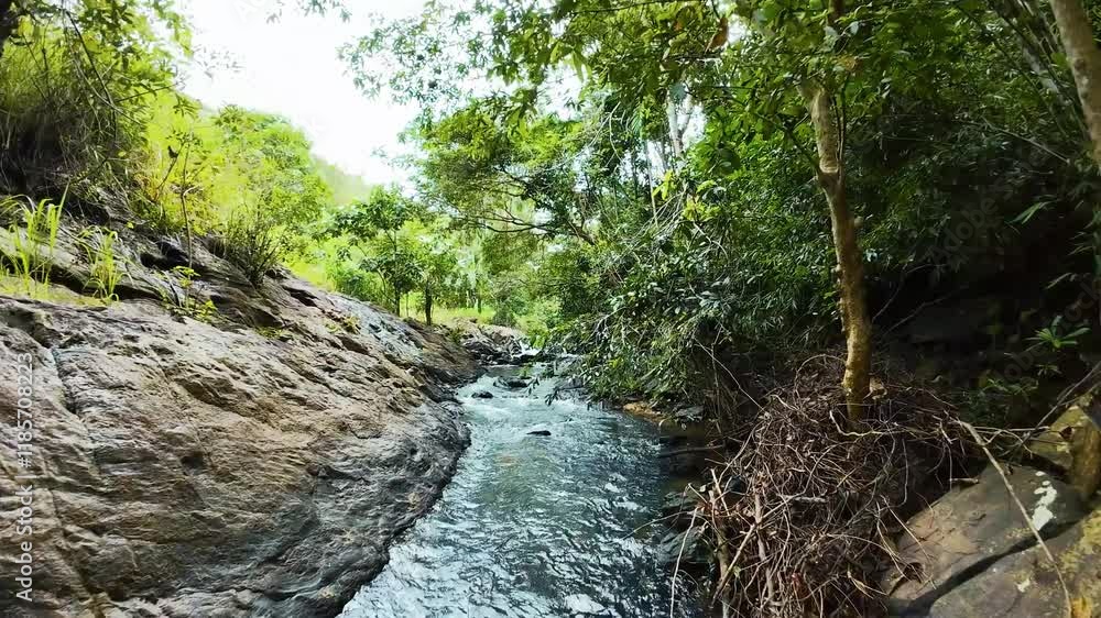 Nature lovers will enjoy this 4K FPV drone video of a calm jungle stream surrounded by lush vegetation. Nature lovers will enjoy this 4K FPV drone video of a calm jungle stream surrounded by lush vegetation.