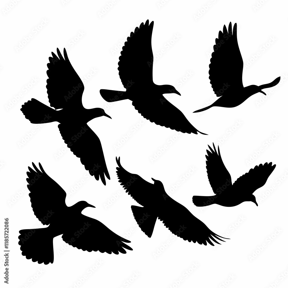 Fototapeta premium Four birds flying in the sky. They are all black. The birds are in different positions. One is in the middle, and the other three are on the right side