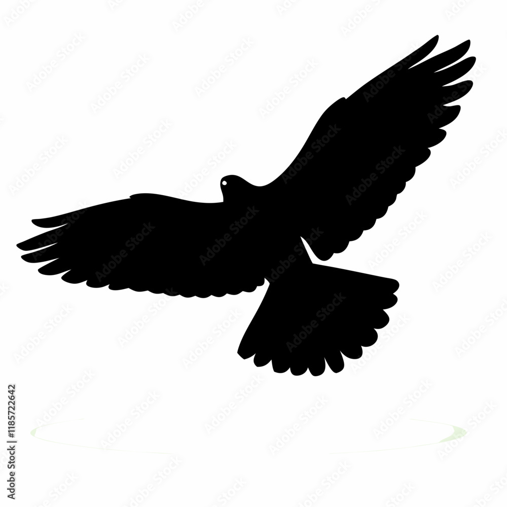 Obraz premium A black bird with white feathers. The bird is flying in the air. The bird is in the middle of the image