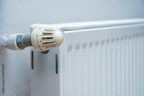 Temperature knob of the heating radiator in the hallway of the house photo