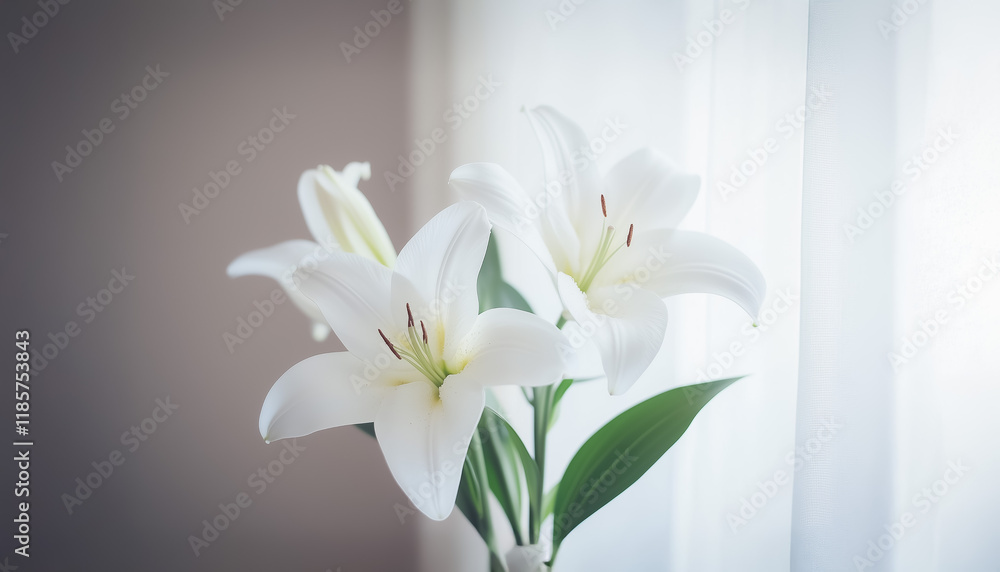 Fototapeta premium A close-up of white lilies in soft sunlight, placed near a window, enhancing the serene and peaceful atmosphere of a modern hotel room.