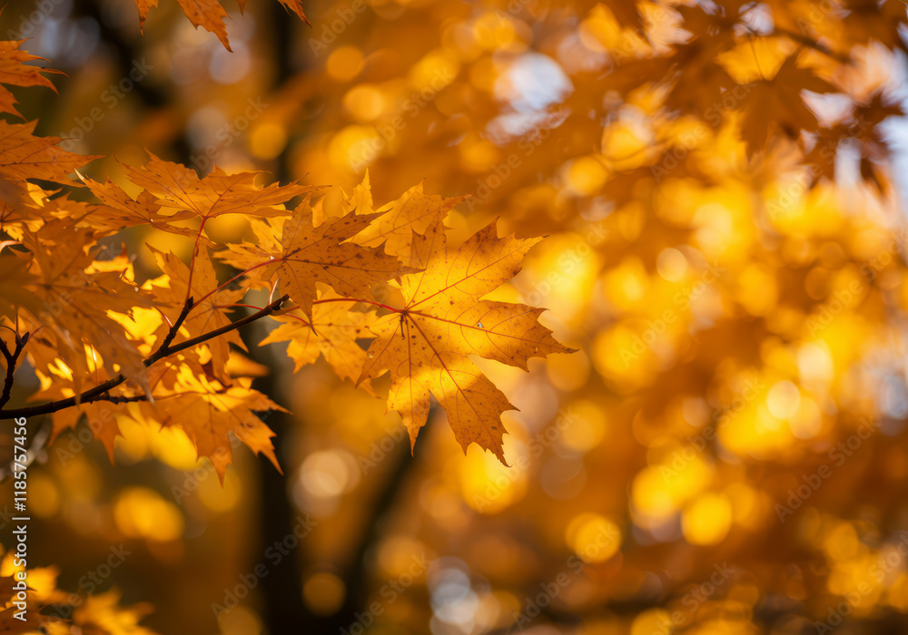 Close-Up of Yellow Autumn Leaf with Blurred Orange Tree and Bokeh Close-Up of Yellow Autumn Leaf with Blurred Orange Tree and Bokeh