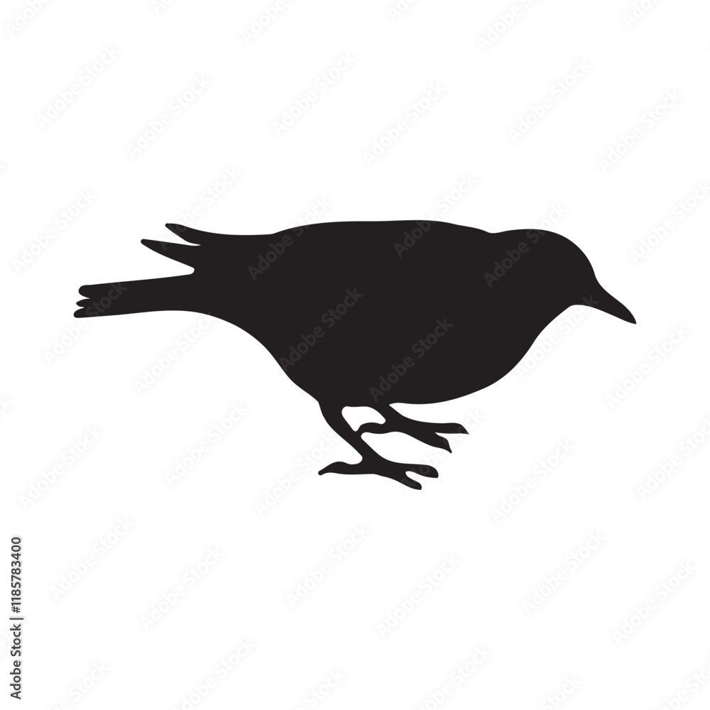 Starling bird silhouettes vector illustration, Common Starling Clipart, Starling silhouette, European starling illustration in black and white Starling bird silhouettes vector illustration, Common Starling Clipart, Starling silhouette, European starling illustration in black and white