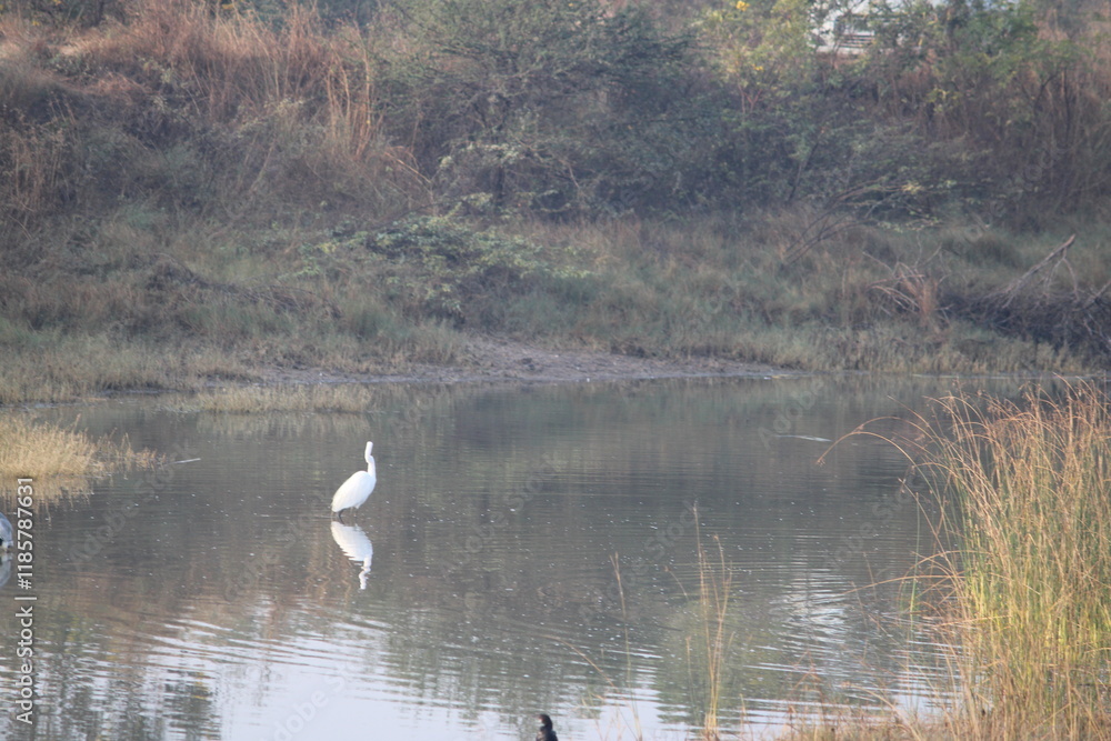 Khijadia Bird Sanctuary is at the distance of about 10 km northeast from Jamnagar (gujarat) india Khijadia Bird Sanctuary is at the distance of about 10 km northeast from Jamnagar (gujarat) india