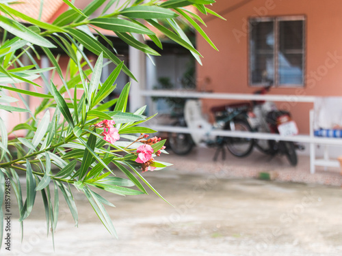 Daily Rental Guesthouse Exterior View