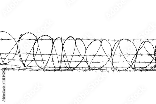 Barbed wire photo