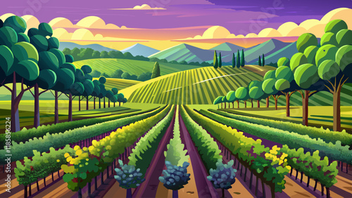 Green field with rows of vines for harvesting. Ripe grapes for the production of fine wines