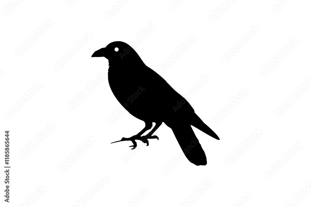 Obraz premium Black Bird Minimalist Vector Art, Modern Crow Vector Illustration