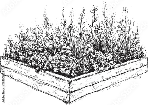 Hand-drawn illustration of a wooden planter box filled with various plants.