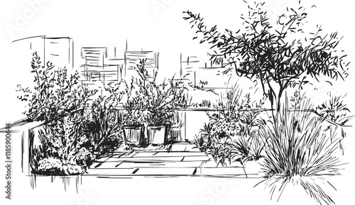 Black and white sketch of a patio garden with various plants and trees.