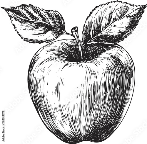 Detailed black and white illustration of an apple with leaves.