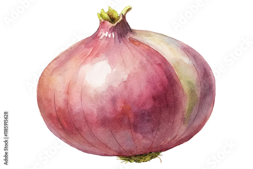 Watercolor onion illustration, vibrant colors, organic shapes, culinary art, fresh produce, kitchen decor.