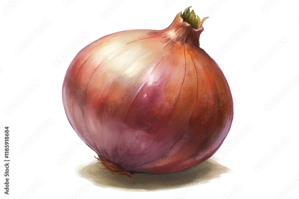 Fototapeta premium Realistic onion illustration, vibrant colors, detailed texture, culinary use, food art, fresh produce.