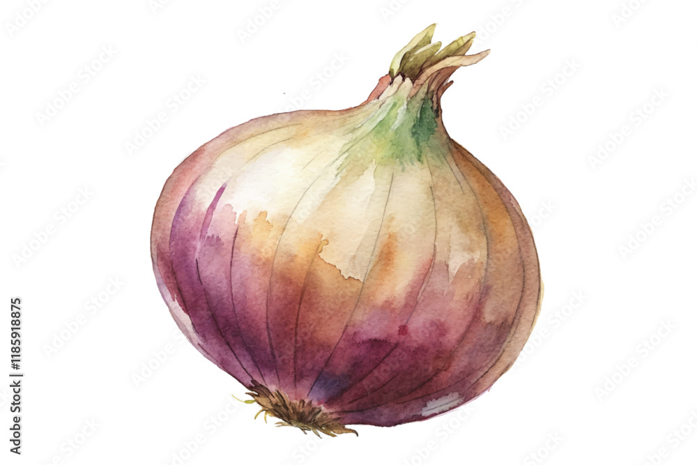 Fototapeta premium Watercolor onion illustration, vibrant colors, organic shapes, kitchen decor, culinary art, food styling.