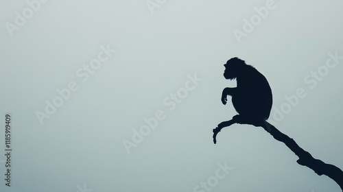 Silhouette of a monkey sitting on a tree branch against a muted sky. photo