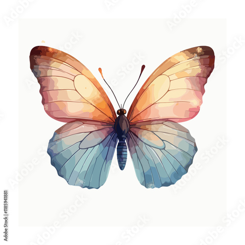 Butterfly illustration isolated on white background