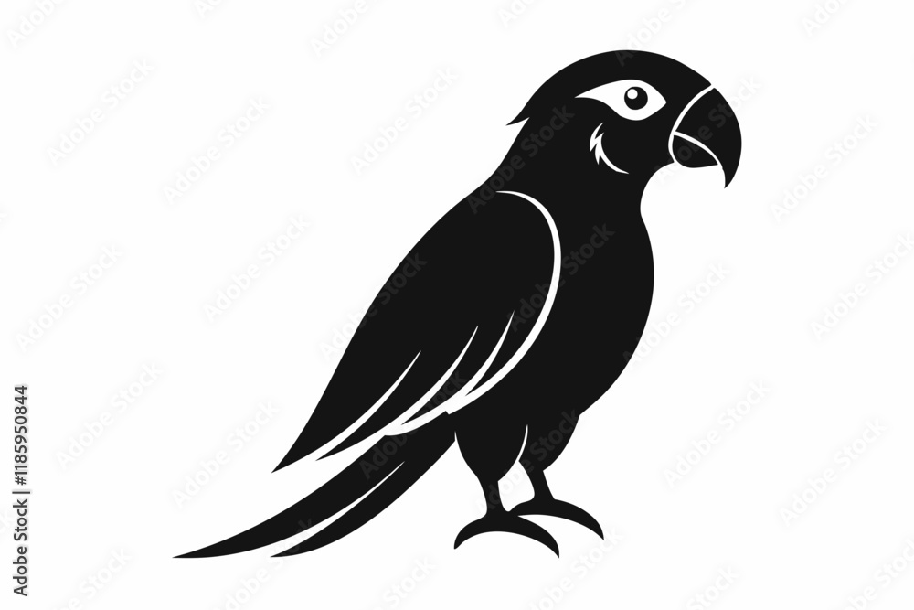Fototapeta premium parrot silhouette vector illustration