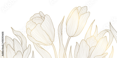 Vector line gold on white tulips art, luxury graphic botanical illustration, plant floral background