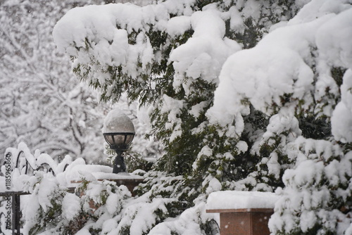Wallpaper Mural Tree branches under a layer of snow. Heavy snowfall. Torontodigital.ca