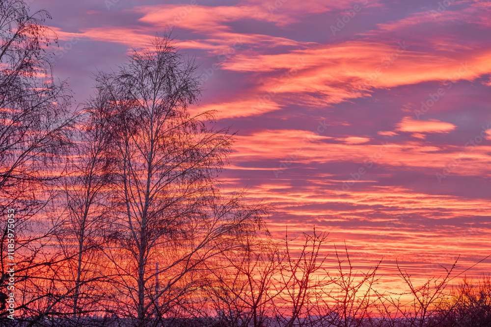 Obraz premium landscape with red sky at sunset