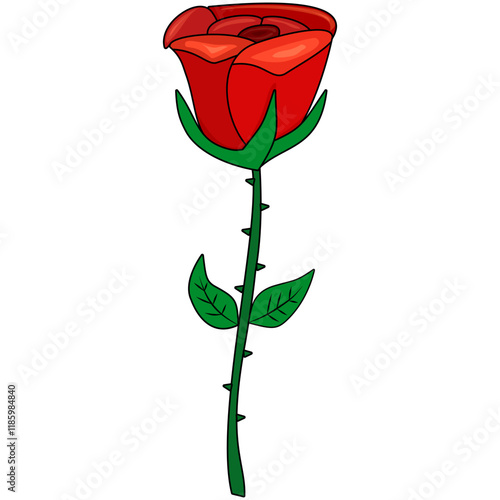 red rose, isolated on white background, flower elements