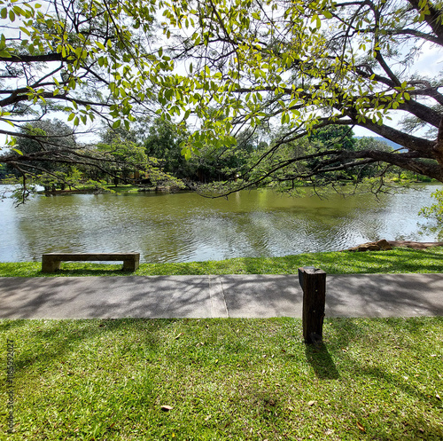 The serene atmosphere, surrounded by trees around the lake photo