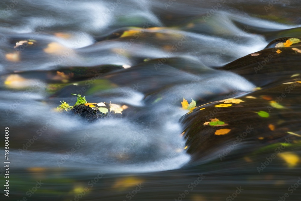 Long exposure shot of a flowing river with autumn leaves on rocks Long exposure shot of a flowing river with autumn leaves on rocks