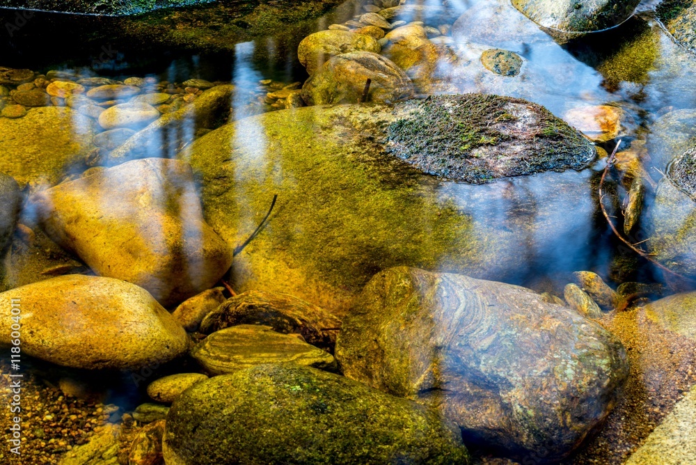 Obraz premium Close-up of colorful stones under clear water with reflections in a serene stream.