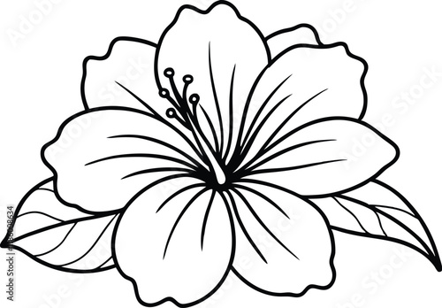 hibiscus flower line art vector , beautiful hibiscus flower line drawing