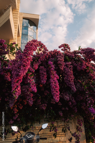 Blumen in rot