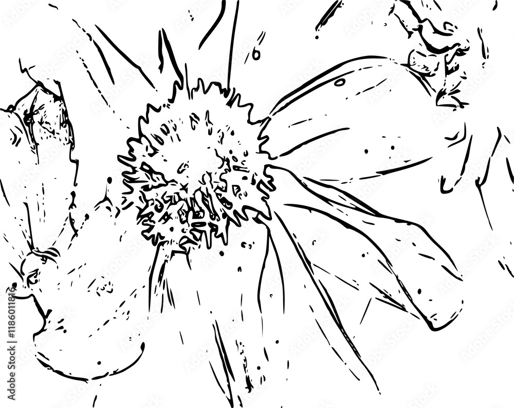 splat splat