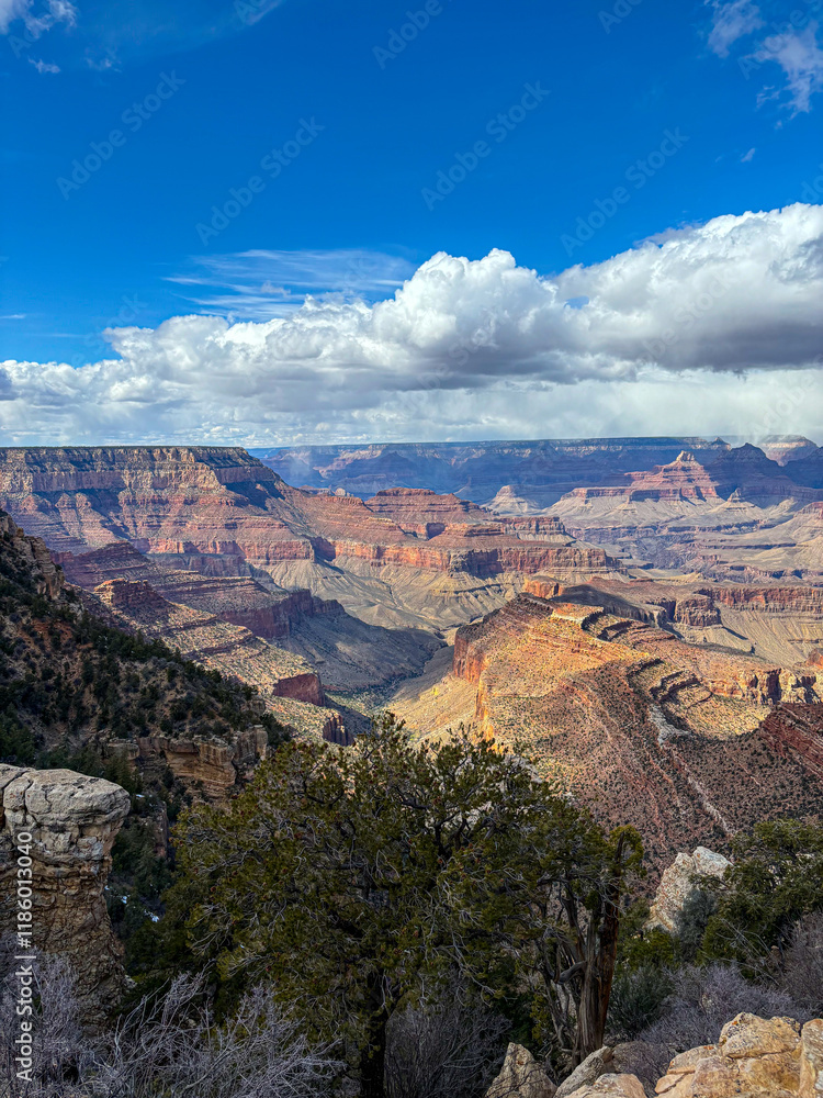 Grand viewpoint of the grand canyon national park in Arizona south rim Grand viewpoint of the grand canyon national park in Arizona south rim
