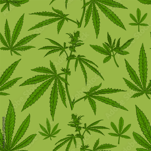 Seamless pattern with hand drawn sketch of Cannabis. Vector illustration of leaves and plant Hemp. Botanical drawing of Medical Marijuana foliage. Vintage engraved style