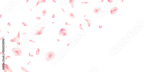 Pastel pink flower petals fall on abstract floral background with beautiful petal greeting card design. Vector illustration