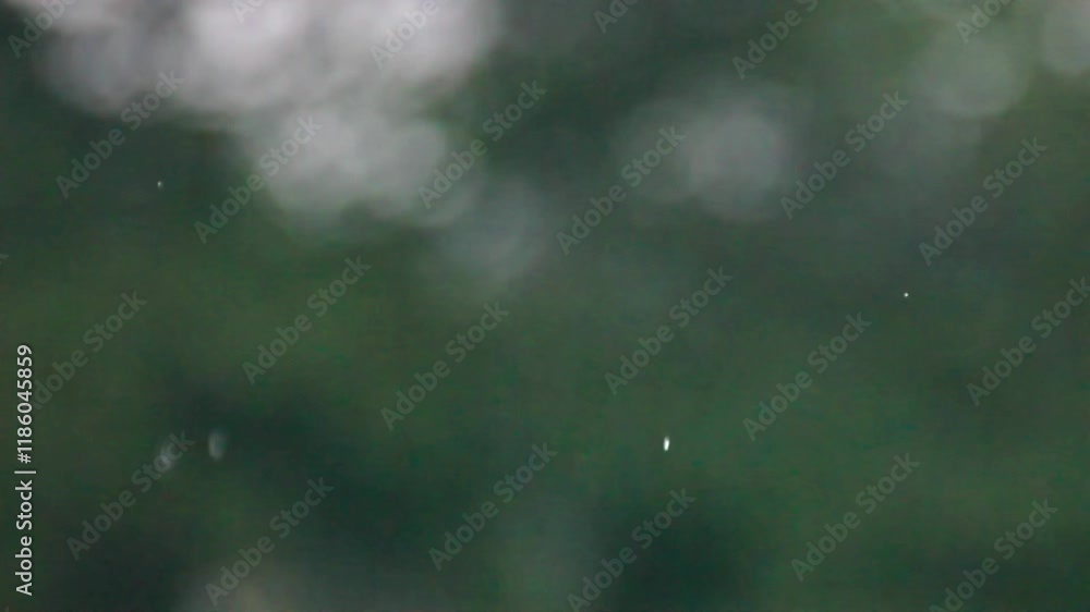Raindrops fall slowly on blurred nature. Rain fall, rain water, rain droplets, heavy rain, rainy day, rainy weather, rainy season footage for background. Rain fall in green park on bokeh effect. Raindrops fall slowly on blurred nature. Rain fall, rain water, rain droplets, heavy rain, rainy day, rainy weather, rainy season footage for background. Rain fall in green park on bokeh effect.