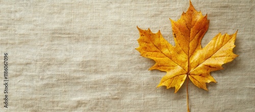 Yellow maple leaf on linen ...