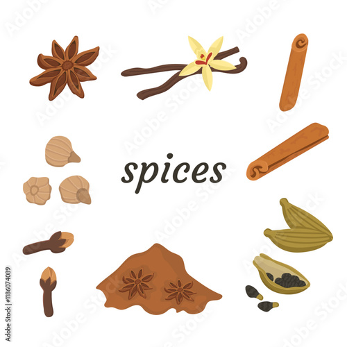 Vector set of spices isolated on white background with text. Image of anise, cardamom, cinnamon and cloves.