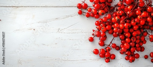 Fresh ripe rowan berries on...