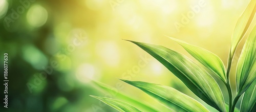 Closeup view of an appealin...