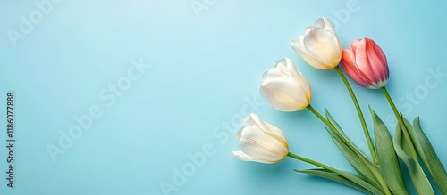 Beautiful tulips on a paste...
