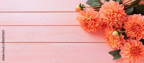 Flat lay arrangement featur...