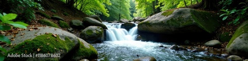 Forest floor surrounds Ranger Falls' rushing waters, landscape, nature