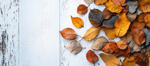 Colorful dried leaves on a ...