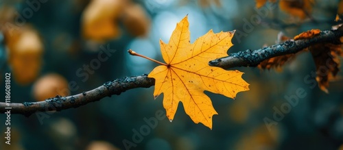 A vibrant yellow autumn lea...
